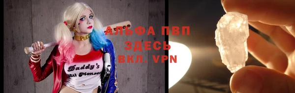 бошки Гусев