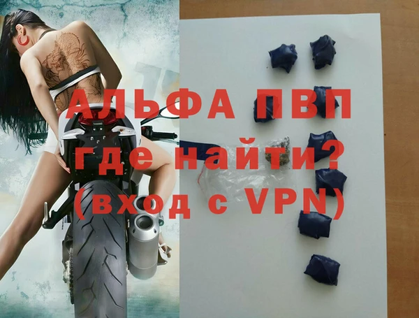 бошки Гусев