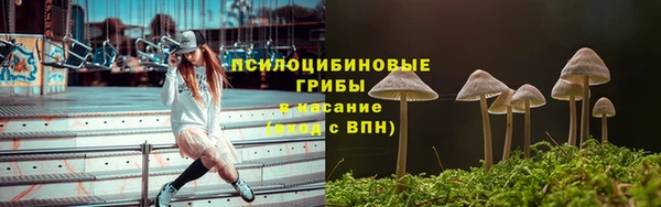 бошки Гусев
