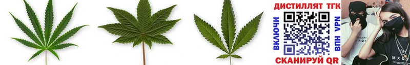 Купить где Порхов ТГК THC oil